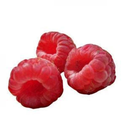 FUMARI Raspberry (малина)